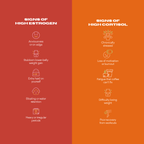 The Balanced Baddie Bundle